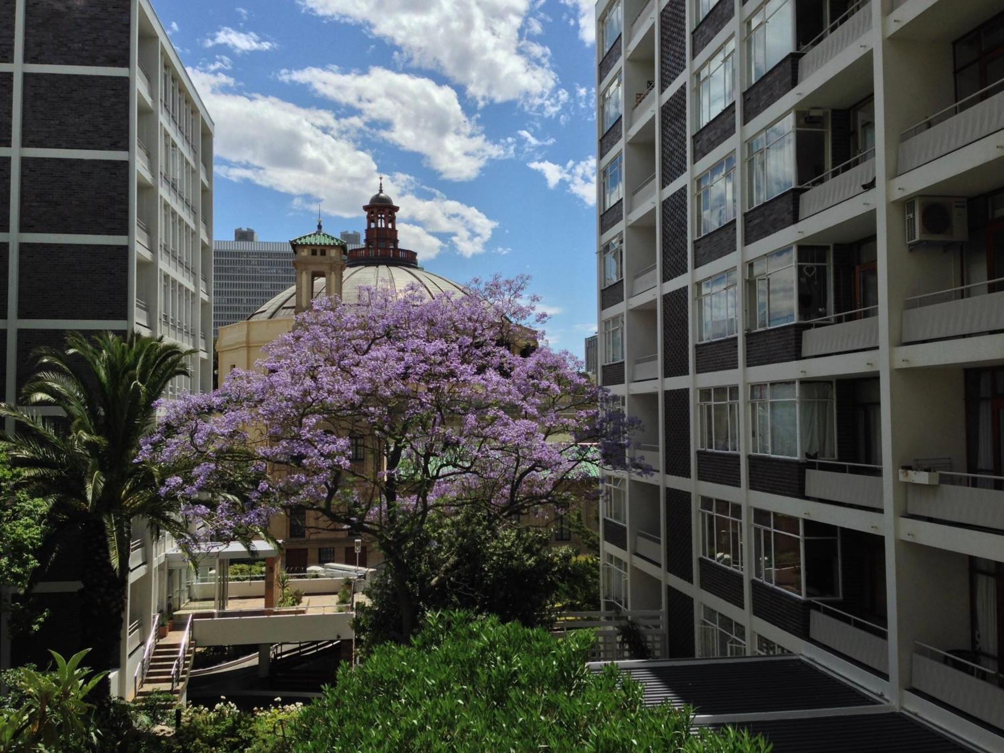 Apartament Cape Breaks Kapsztad Zewnętrze zdjęcie